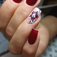 ناخن هاتو خوشگل کن|خدمات آرایشگری و زیبایی|میاندوآب, |دیوار