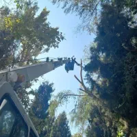 خدمات باغبانی اصفهان|خدمات باغبانی و درختکاری|اصفهان, اصفهانک|دیوار