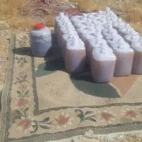 عسل کنار|خوردنی و آشامیدنی|بیرم, |دیوار