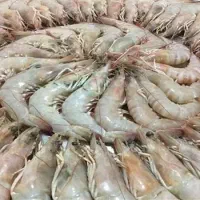 استخدام نیروی خانم و آقا بسته بندی میگو