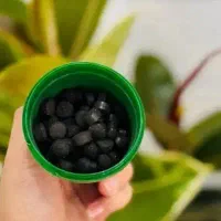 تحویل فوری قرص کود ارگانیک|گل و گیاه طبیعی|رشت, گلباغ نماز|دیوار