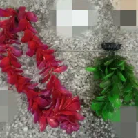 لوازم آکواریوم|لوازم جانبی حیوانات|شیراز, رکنآباد|دیوار