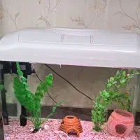 آکواریوم شرکتی شیشه خم