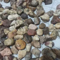 سنگ معدنی|کلکسیون اشیاء عتیقه|زاهدان, |دیوار