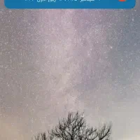 به نظرتون کنگان چه چیزی کم داره