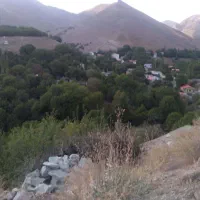 زمین اکازیون در جاده چالوس