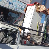 حمل بار به تربت جام امروزدرخدمتم|خدمات حمل و نقل|تربت جام, کلالی|دیوار