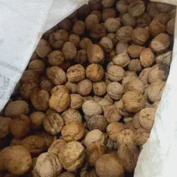 گردو|خوردنی و آشامیدنی|نهاوند, |دیوار