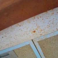 نیروی خدماتی منزل