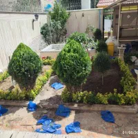 خدمات باغبانی باغچه کاری فروش گل و درخت تعویض خاک|خدمات باغبانی و درختکاری|تهران, ازگل|دیوار