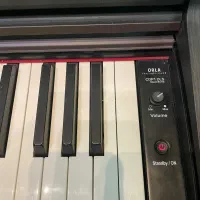 پیانو دیجیتال اورلا orla