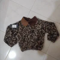 حراج به دلیل جمع آوری