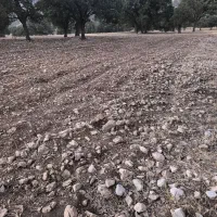 فروش زمین ۳۵۰۰ متر|فروش زمین و ملک کلنگی|اهواز, شهرک صنعتی شماره ۳|دیوار