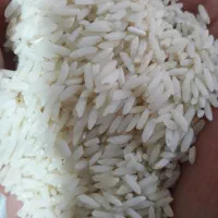 برنج ممان میانه عطری درجه یک|خوردنی و آشامیدنی|بهارستان, |دیوار