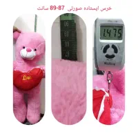 خرس های ایستاده ونشسته شازده