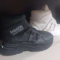 کفش زنانه و مردانه|کیف، کفش، کمربند|شوشتر, |دیوار