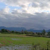 زمین زراعی و مسکونی