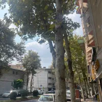 اجاره-ملک-تجاری-200-متری-گلسار