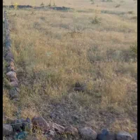 یک قطعه زمین در قطعه خورشیدی