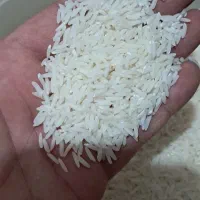 برنج هاشمی درجه یک صادراتی|خوردنی و آشامیدنی|تهران, سلیمانی|دیوار