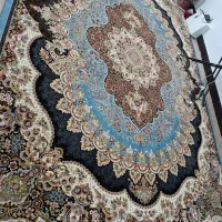 فرش ۷۰۰ شانه پاتریس تراکم پود ۲۵۵۰|فرش|بهبهان, |دیوار