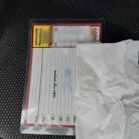 207 پانا مدل ۱۴۰۴ برج ۵ هستش|خودرو سواری و وانت|قم, پردیسان|دیوار