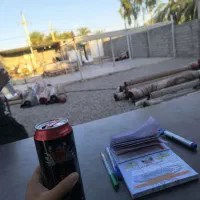 قالیشویی و مبلشویی رستم آباد|خدمات نظافت|بم, |دیوار