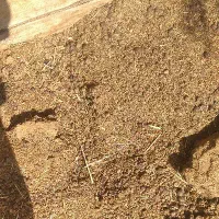 فروش کود گوسفند|گل و گیاه طبیعی|سیرجان, |دیوار