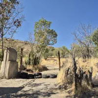 فروش باغ ۳۷۰۰متری حیدره زیرپارک جنگلی