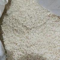 برنج چمپای میداود، طلاور، من بیشه، اعلا