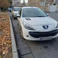 ۲۰۷ اصل فرانسه