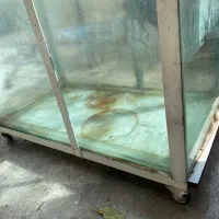 آکواریوم مناسب مغازه|فروشگاه و مغازه|عجب شیر, |دیوار