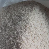 برنج دشت سبز|خوردنی و آشامیدنی|مشهد, زیبا شهر|دیوار