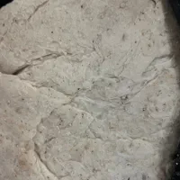 پنبه