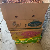 قصب|عمده‌فروشی|وحدتیه, |دیوار