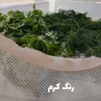 تورمیوه وسبزی خشک کن خانگی|ظروف نگهدارنده، پلاستیکی، یک‌بارمصرف|رودسر, |دیوار