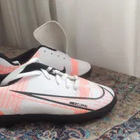 کفش اسپرت|کیف، کفش، کمربند|شیراز, مبعث|دیوار