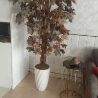 درختچه پاییزی