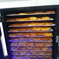 دستگاه میوه خشک‌ کن T555|سایر لوازم برقی|شیراز, بعثت|دیوار