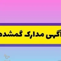 مدارک گمشده در کیف
