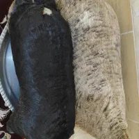 خیگ محلی تر تمیز نصف قیمت