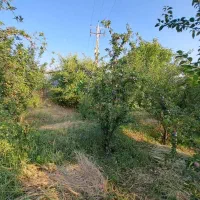 خونه باغ در روستای زیبای کریک بهترین لوکیشن|فروش خانه و ویلا|سی‌سخت, |دیوار