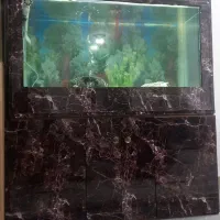 آکواریوم باکمد وقابل دور