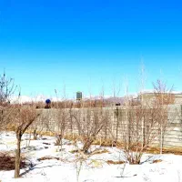 فروش-زمین-575متری-تجاری-مسکونی-گلستان-شمالی