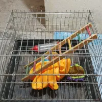 قفس خوکچه و خرگوش|لوازم جانبی حیوانات|تهران, سبلان (لشگر)|دیوار