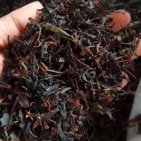 چای قلم امساله