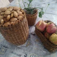 محصولات ارغوانی بافی