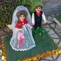 سبزه|گل و گیاه طبیعی|کوهدشت, |دیوار