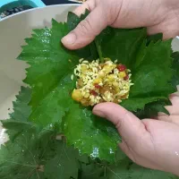 دلمه برگ انگور|خوردنی و آشامیدنی|اهواز, فاز ۲ پادادشهر|دیوار