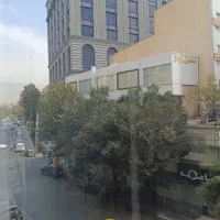۲۲۴مترزمین با۶۰۰متربنای اداری۴ط،سهروردی برآپادانا|فروش دفتر کار، اتاق اداری، مطب|تهران, نیلوفر|دیوار